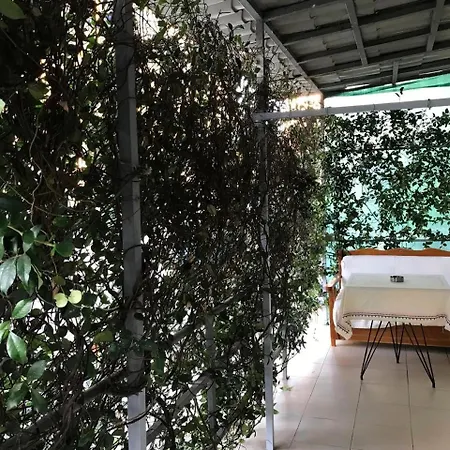 Blossom Balcony 地拉那