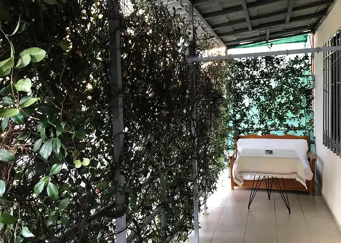 Blossom Balcony تيرانا